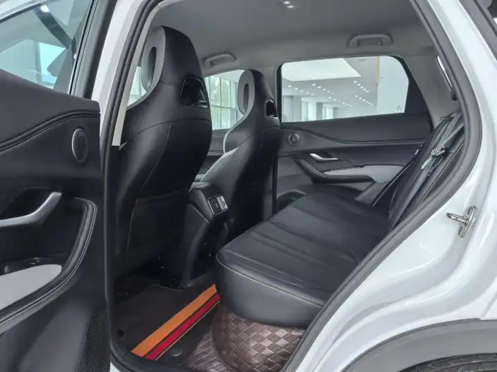 Haise 05DM 2025 Model Smart Driving Edition DM-i 75KM Luxury Model – фото 9