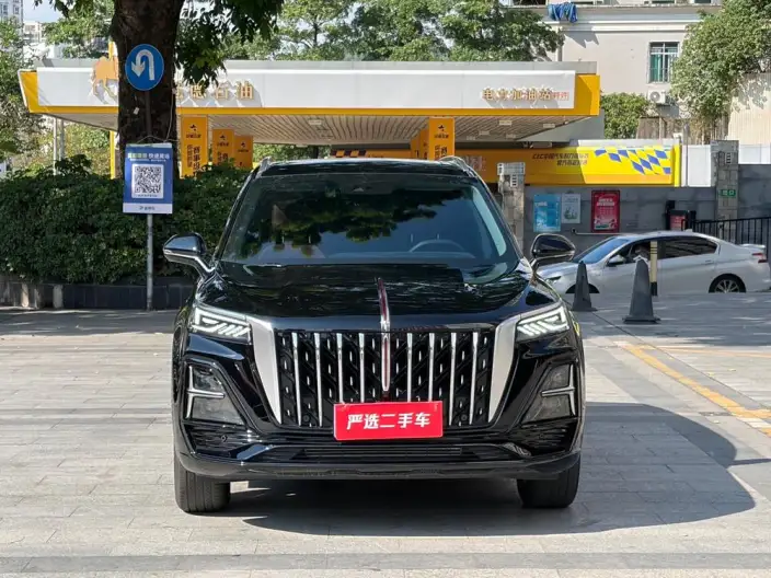 Hongqi HS5 2023 Model 2.0T Flag Xiang Pro Edition – фото 2