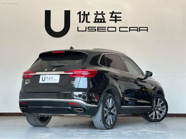 Hongqi HS5 2022 Model Facelift 2.0T Smart Flag Enjoy 4WD Edition – фото 6