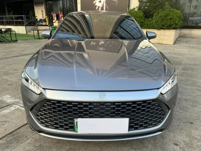 BYD Qin PLUS DM 2024 Model Honor Edition DM-i 55KM Leading Model – фото 2