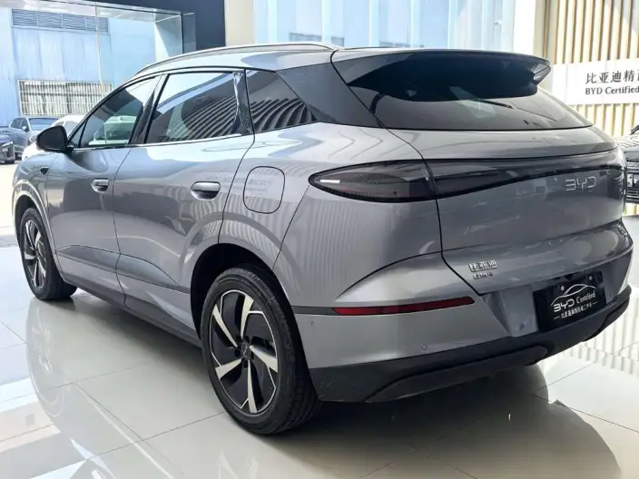 Sea Lion 06DM 2025 Model DM-i 205KM Pilot Pro Edition – фото 4