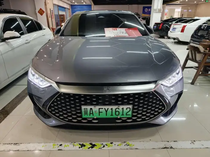 BYD Han DM 2023 Model DM-i Champion Edition 121KM Zunrong Model – фото 2