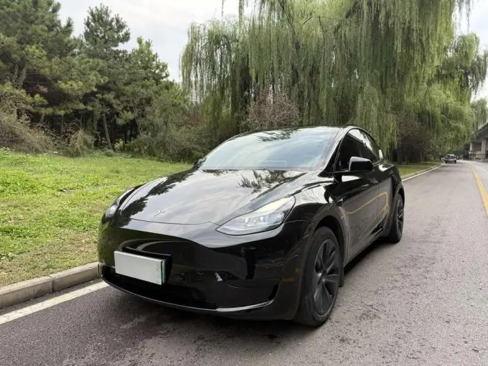 Model Y 2023 Model Rear-wheel drive version – фото 1