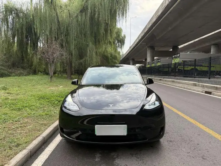 Model Y 2023 Model Rear-wheel drive version – фото 2
