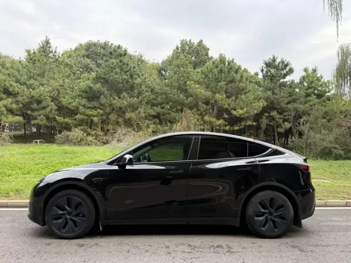 Model Y 2023 Model Rear-wheel drive version – фото 3