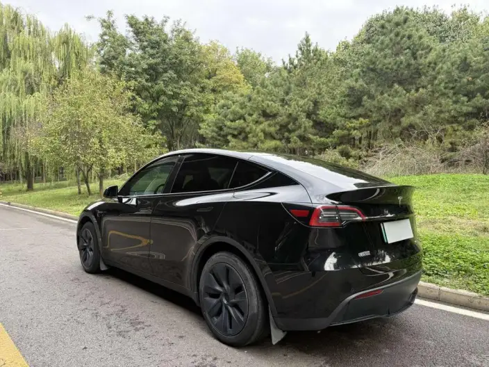 Model Y 2023 Model Rear-wheel drive version – фото 4