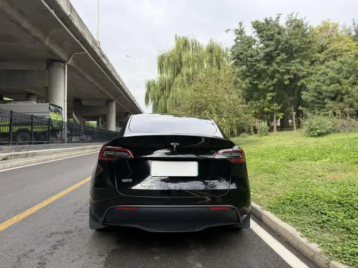 Model Y 2023 Model Rear-wheel drive version – фото 5