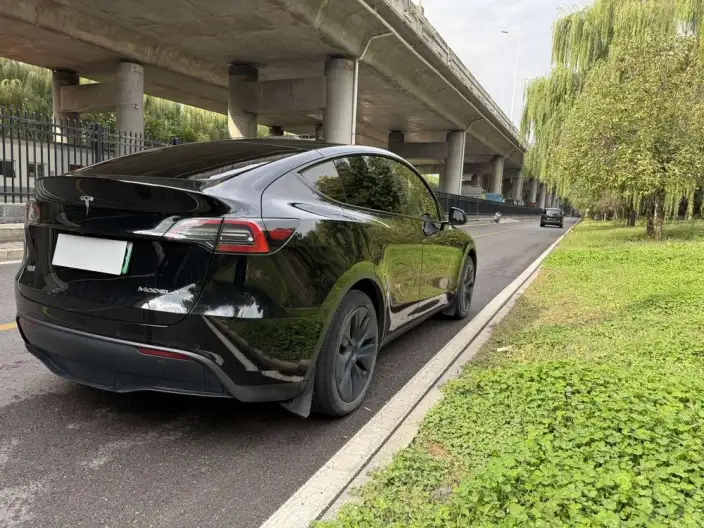 Model Y 2023 Model Rear-wheel drive version – фото 6