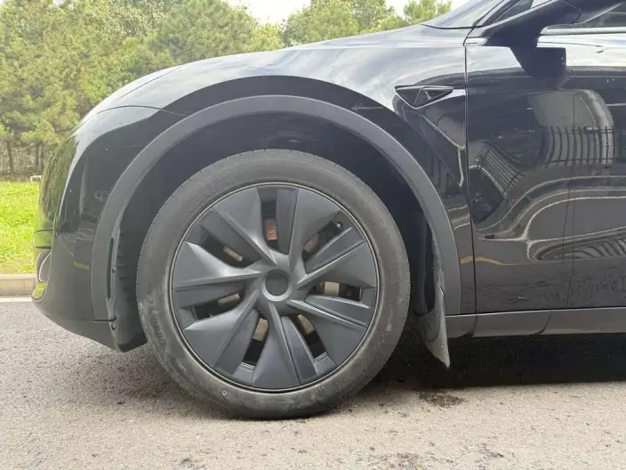 Model Y 2023 Model Rear-wheel drive version – фото 8