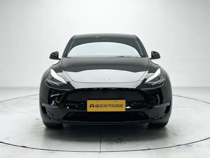 Model Y 2022 Model Facelift Long Battery Life Pro All-wheel drive version – фото 2