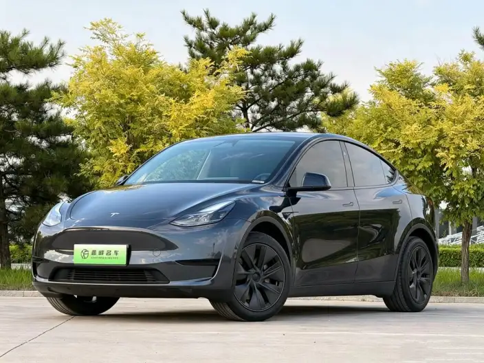 Model Y 2024 Model Rear-wheel drive version – фото 1