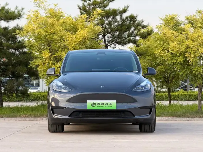 Model Y 2024 Model Rear-wheel drive version – фото 2