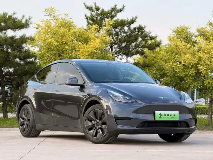 Model Y 2024 Model Rear-wheel drive version – фото 3