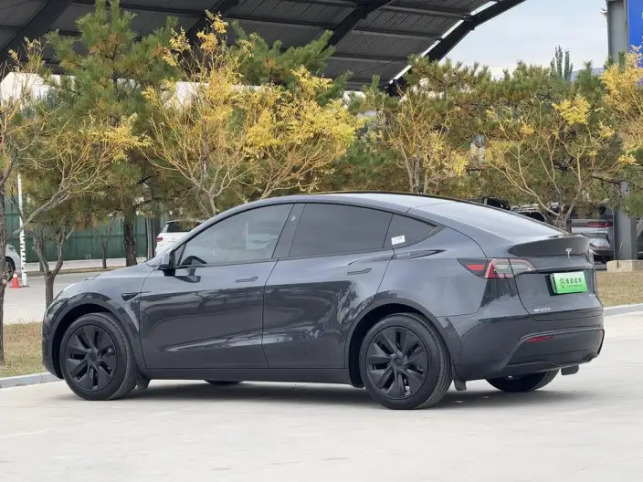 Model Y 2024 Model Rear-wheel drive version – фото 4