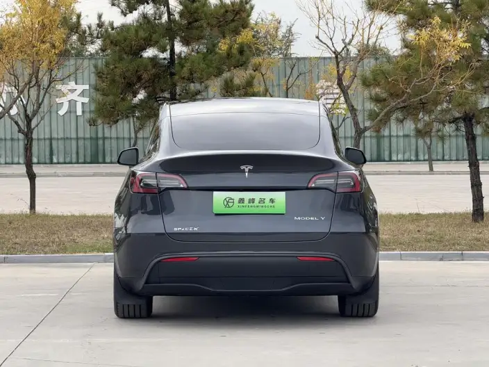 Model Y 2024 Model Rear-wheel drive version – фото 5