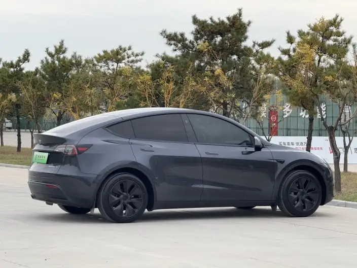 Model Y 2024 Model Rear-wheel drive version – фото 6