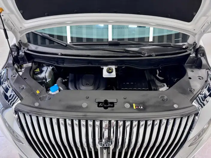 Wey Gaoshan P HEV 2025 Model 4WD Wey Gaoshan 8 – фото 9