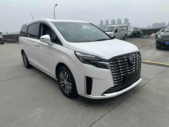 Buick GL8 2023 Model ES Luzun 2.0T Exclusive Model – фото 3