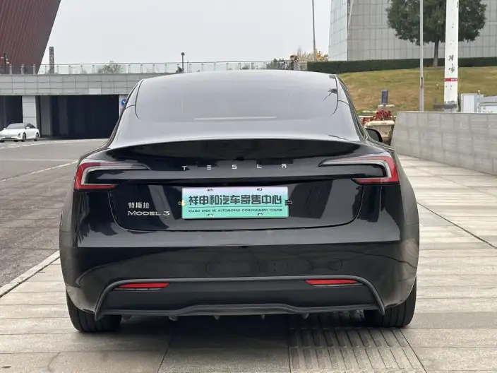 Model 3 2023 Model Rear-wheel drive version – фото 5