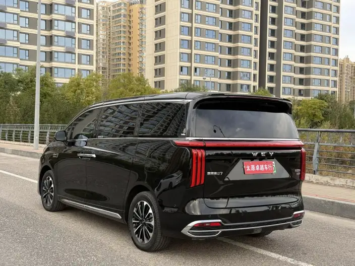 Wey Gaoshan P HEV 2025 Model 4WD Wey Gaoshan 7