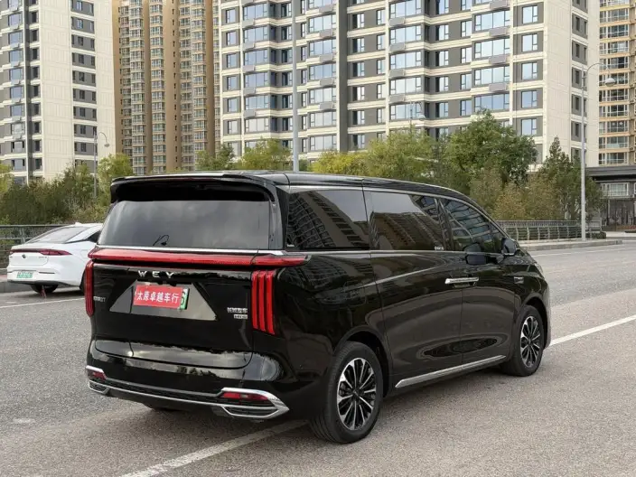 Wey Gaoshan P HEV 2025 Model 4WD Wey Gaoshan 7