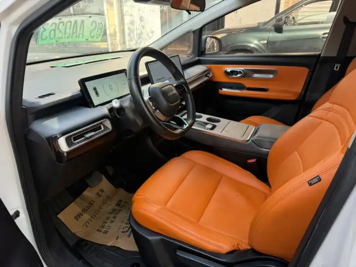 AION Y 2023 Model Plus 610 Lexiang Edition Ternary lithium – фото 9