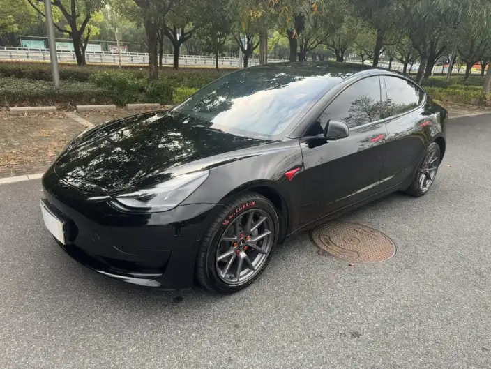 Model 3 2022 Model Rear-wheel drive version – фото 1