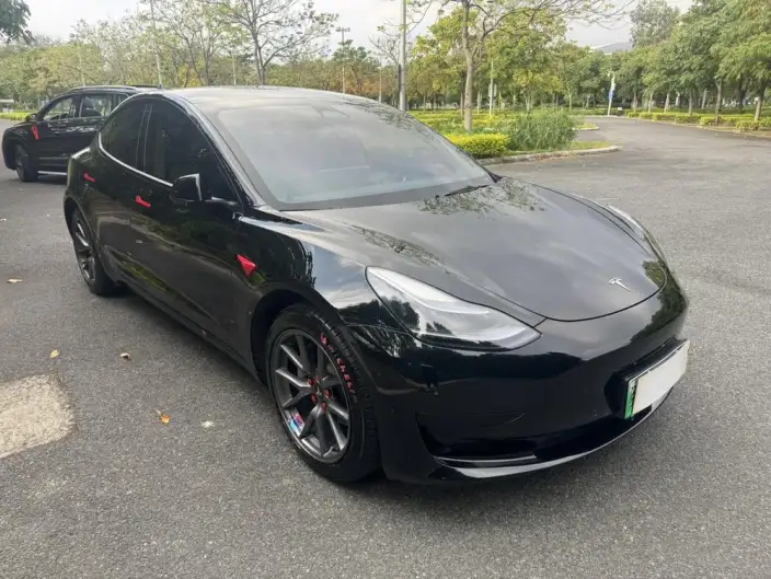 Model 3 2022 Model Rear-wheel drive version – фото 3