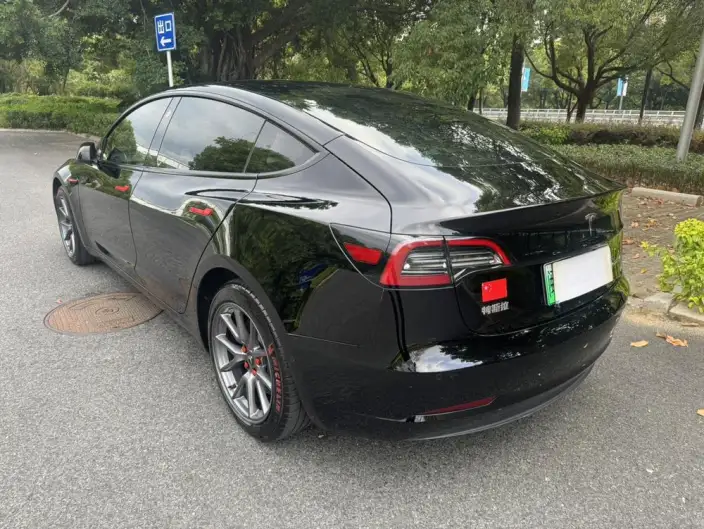 Model 3 2022 Model Rear-wheel drive version – фото 4