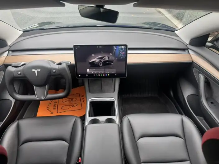 Model 3 2022 Model Rear-wheel drive version – фото 9