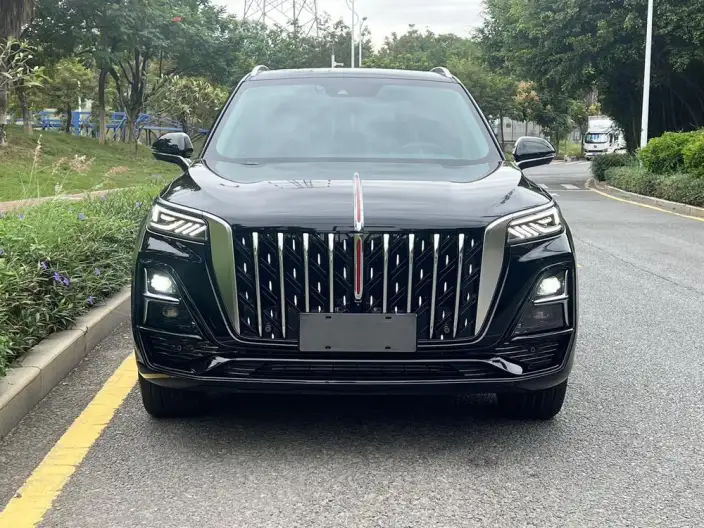 Hongqi HS5 2025 Model 2.0T 4WD Flag Xiang Pro Edition – фото 2
