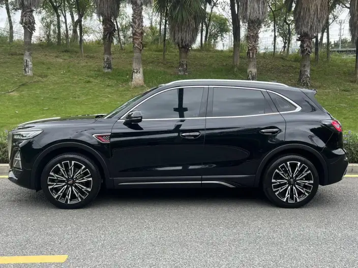 Hongqi HS5 2025 Model 2.0T 4WD Flag Xiang Pro Edition – фото 4