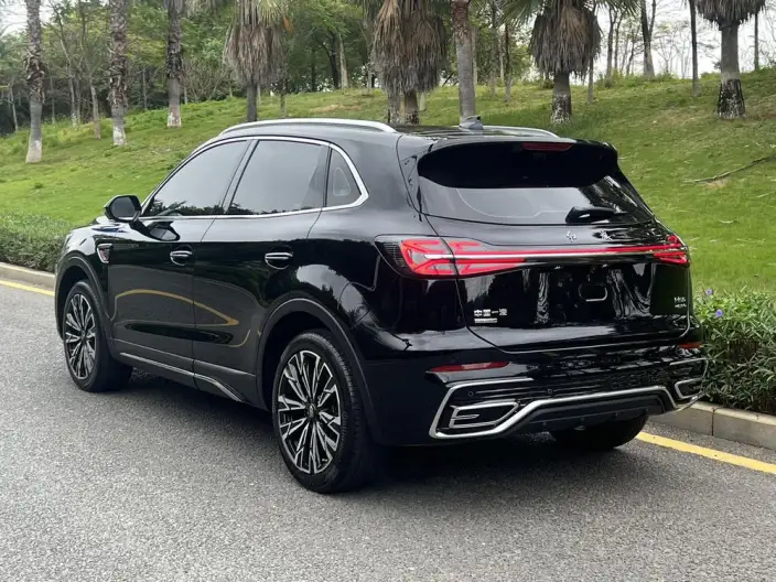 Hongqi HS5 2025 Model 2.0T 4WD Flag Xiang Pro Edition – фото 5