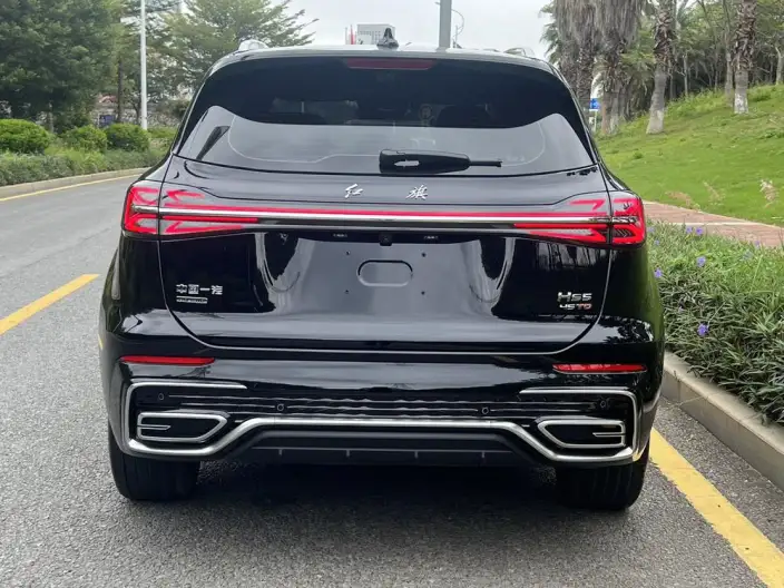 Hongqi HS5 2025 Model 2.0T 4WD Flag Xiang Pro Edition – фото 6