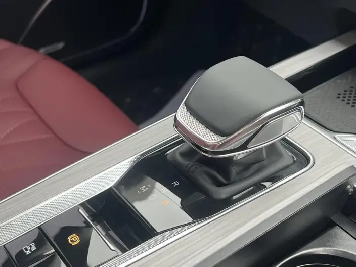 Hongqi HS5 2025 Model 2.0T 4WD Flag Xiang Pro Edition – фото 10