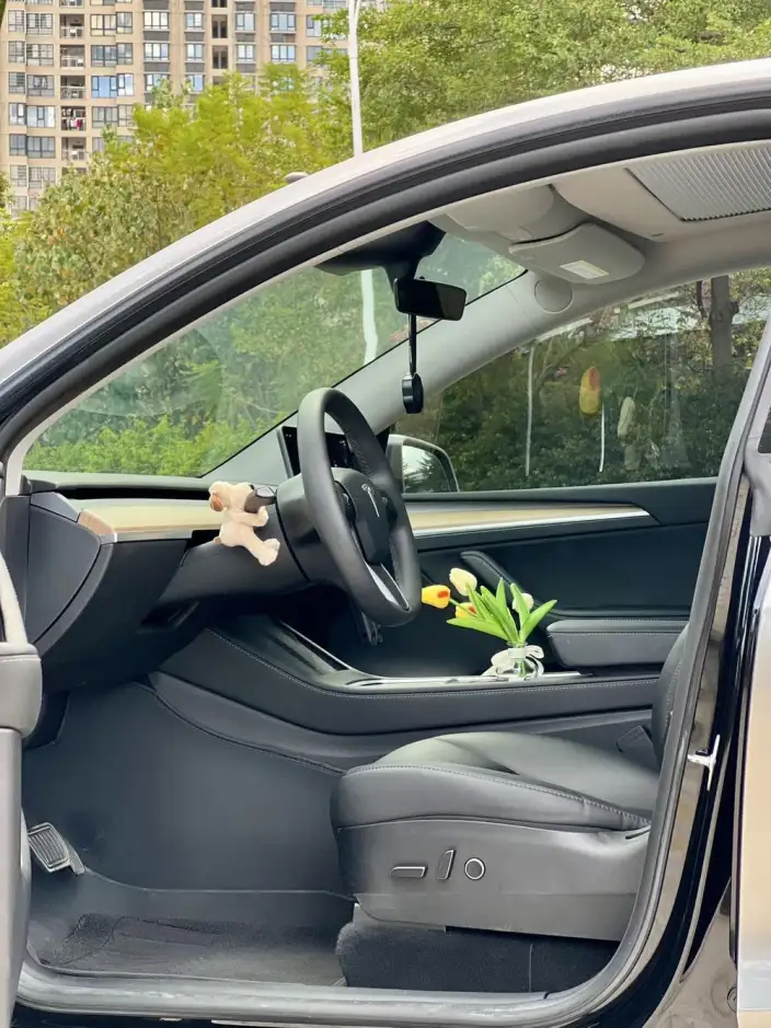Model Y 2022 Model Facelift Rear-wheel drive version – фото 8