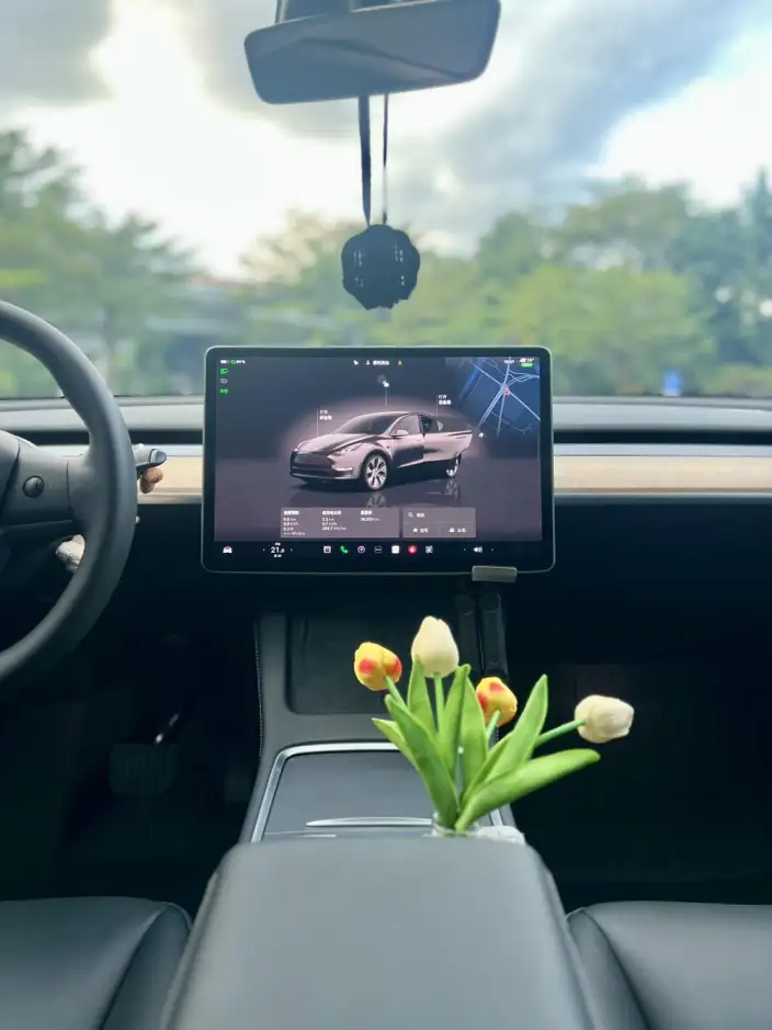 Model Y 2022 Model Facelift Rear-wheel drive version – фото 9