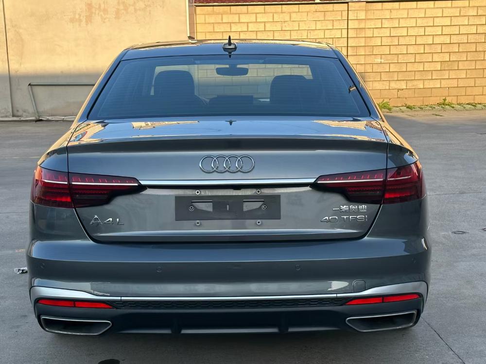 Audi A4L 2020 40 TFSI Luxury Sport – фото 5