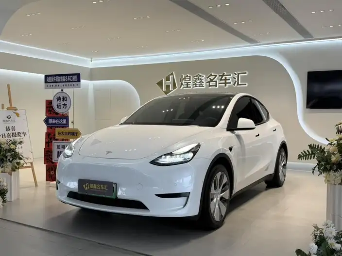 Model Y 2022 Model Rear-wheel drive version – фото 1