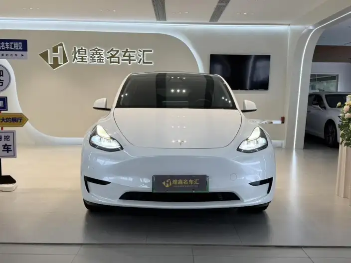 Model Y 2022 Model Rear-wheel drive version – фото 2