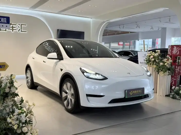 Model Y 2022 Model Rear-wheel drive version – фото 3
