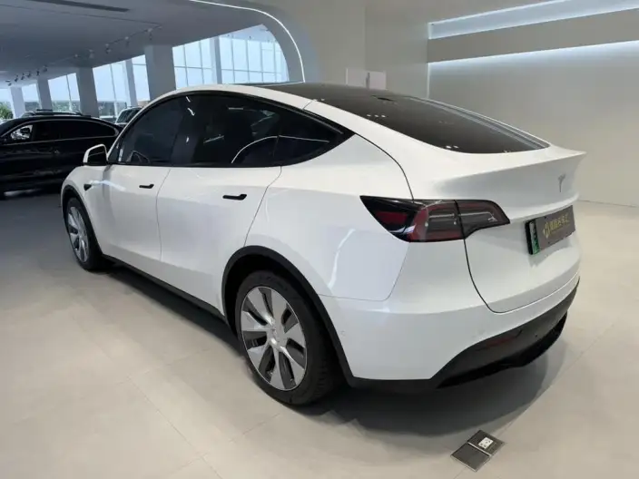 Model Y 2022 Model Rear-wheel drive version – фото 4