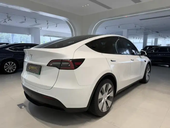 Model Y 2022 Model Rear-wheel drive version – фото 5