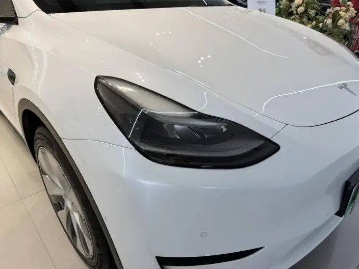 Model Y 2022 Model Rear-wheel drive version – фото 9