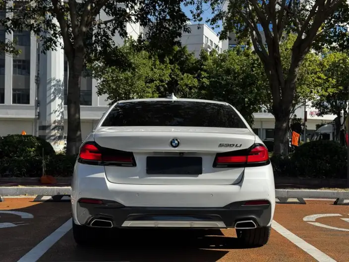 BMW 5 Series 2023 Model 530Li Leading Model M Sports Set – фото 5