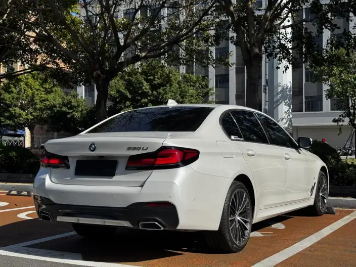 BMW 5 Series 2023 Model 530Li Leading Model M Sports Set – фото 6