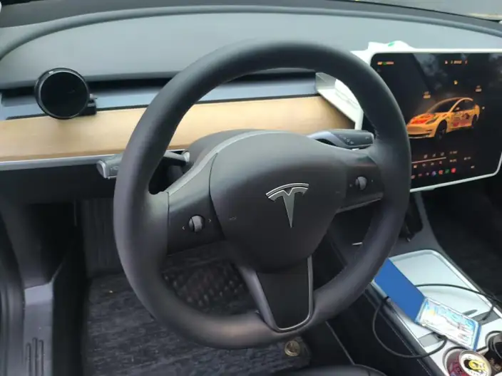 Model 3 2022 Model Rear-wheel drive version – фото 7