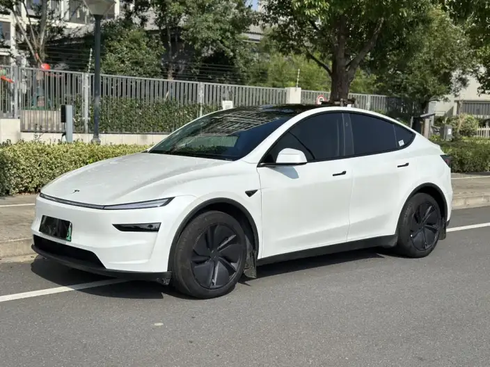 Model Y 2025 Model Rear-wheel drive version – фото 1
