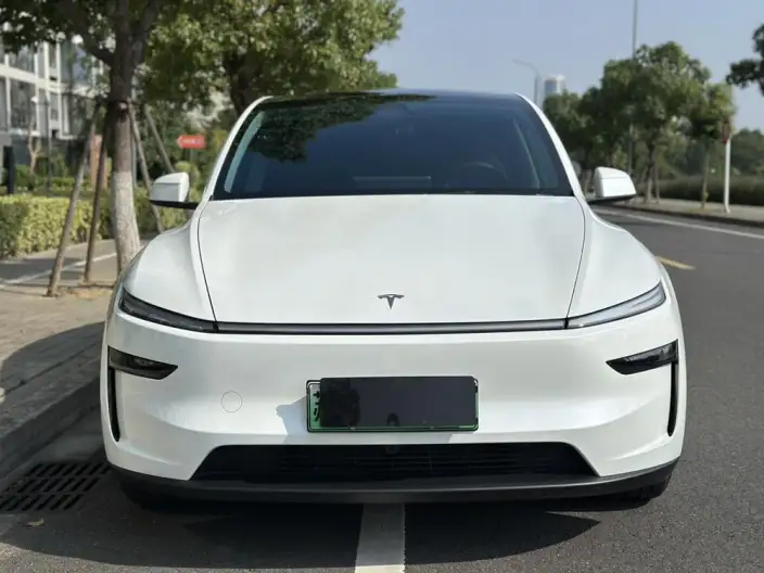 Model Y 2025 Model Rear-wheel drive version – фото 2