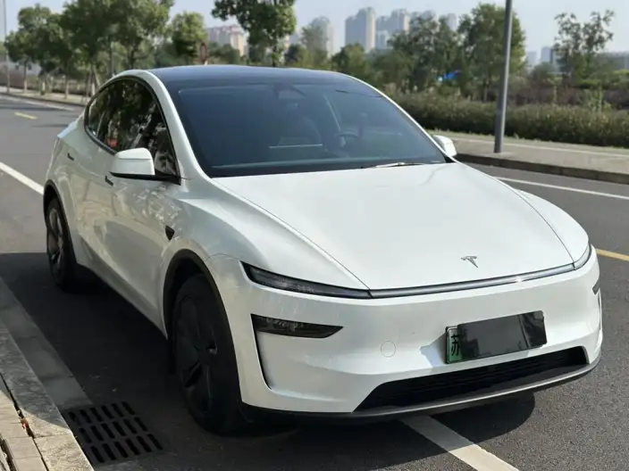 Model Y 2025 Model Rear-wheel drive version – фото 3